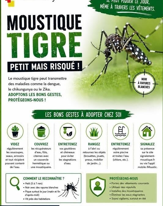 Moustique tigre : Une menace pour la santé publique et le confort de vie